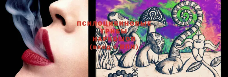 наркошоп  omg маркетплейс  Галлюциногенные грибы Magic Shrooms  Жуков 